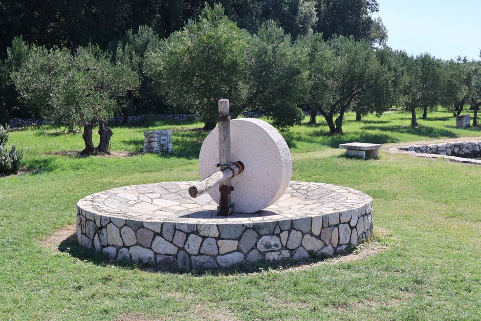 Παραδοσιακή πέτρινη ελαιοτριβή μέσα σε ελαιώνα